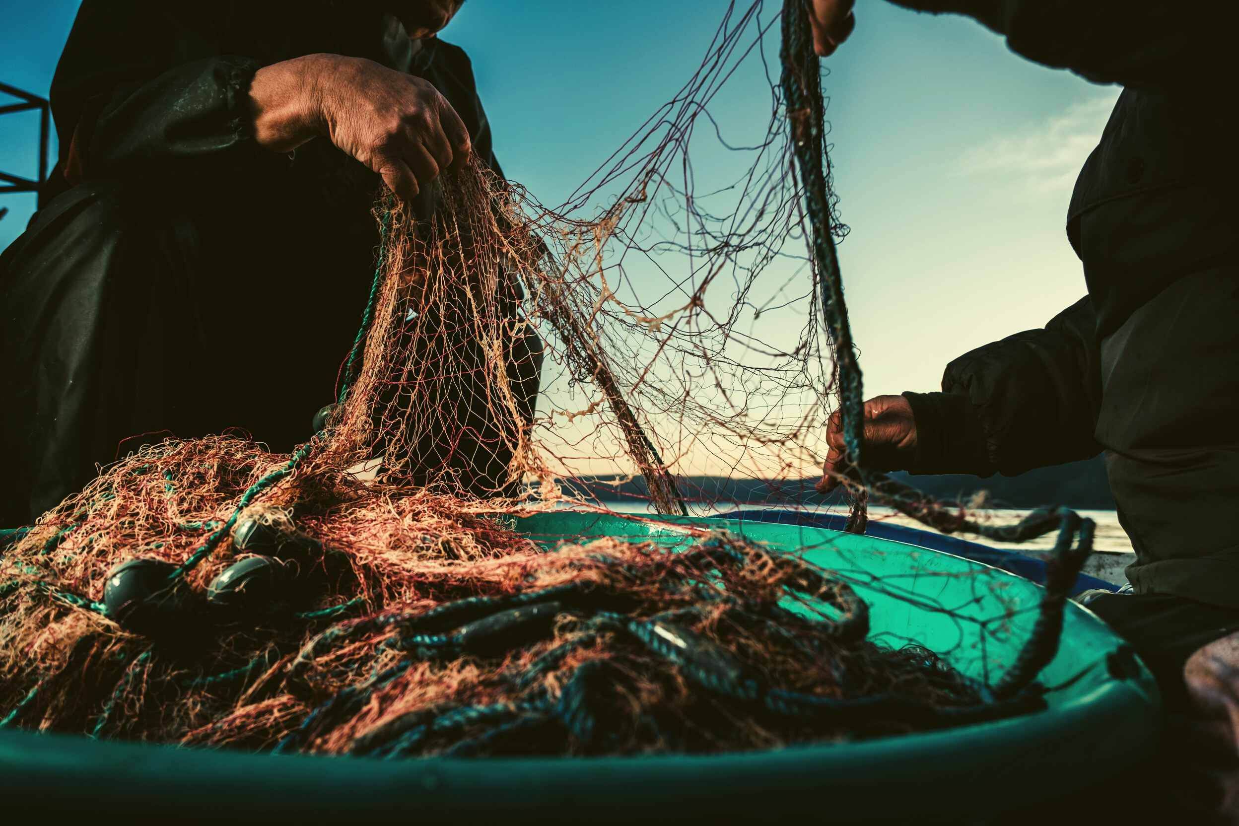 Fishing Nets in a Basin 