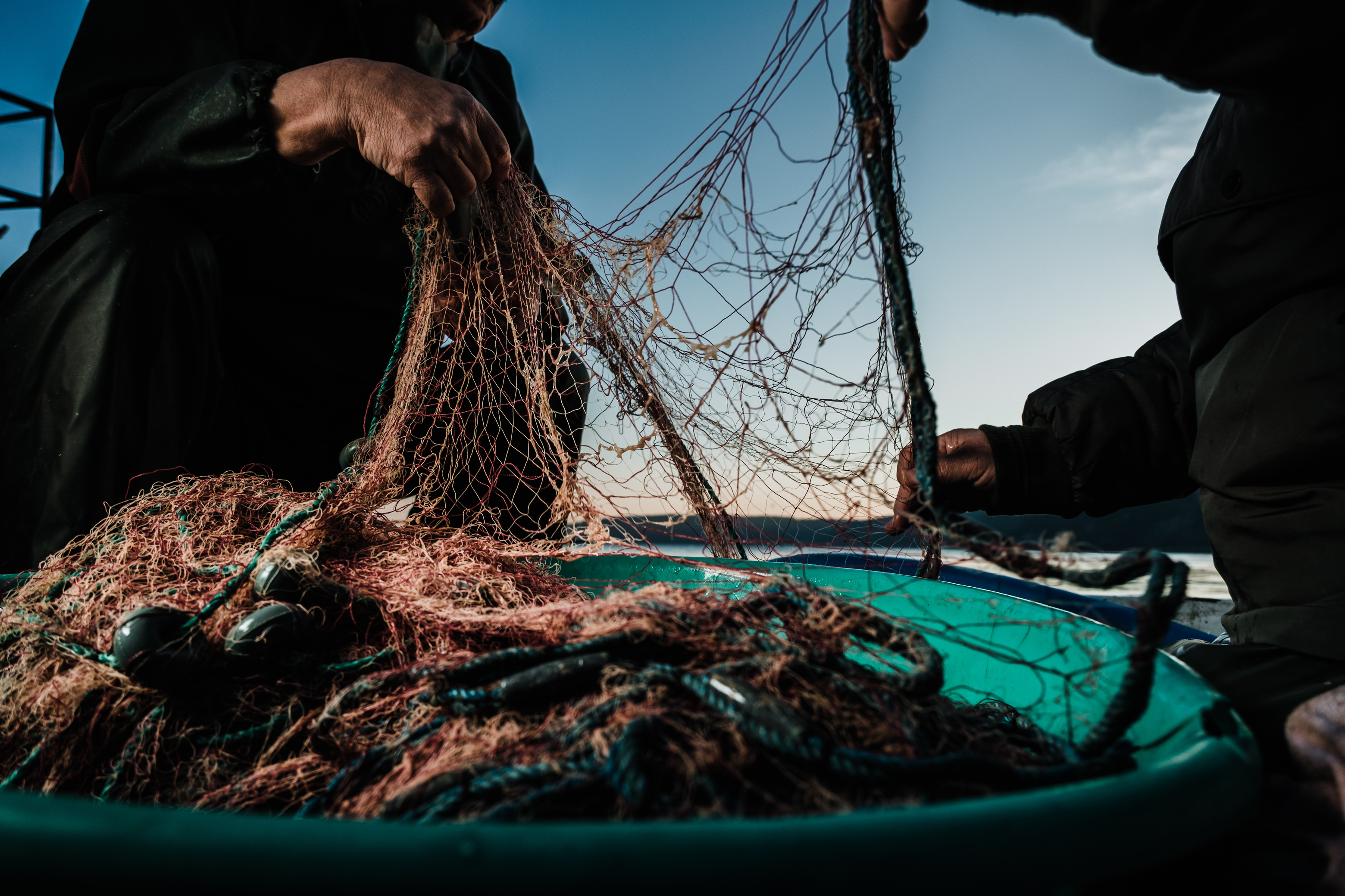 Fishing Nets in a Basin 